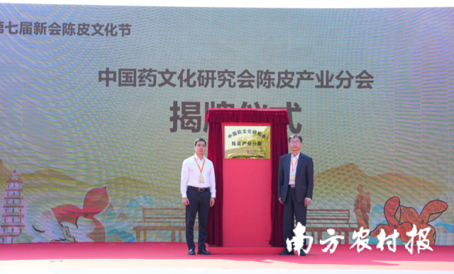 中国药文化研究会陈皮产业分会在江门新会区正式揭牌。
