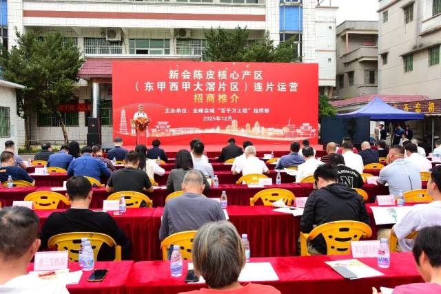 东甲西甲大滘片区连片运营招商推介会现场。 东甲西甲大滘片区连片运营招商推介会现场。