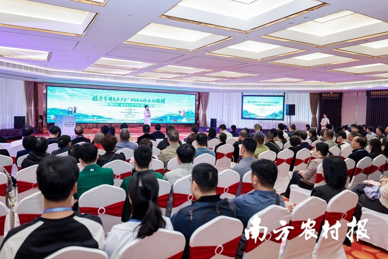 2025年“桂字号”蔬菜秋冬季产销对接(广州)活动推介现场。企業區 2025年“桂字号”蔬菜秋冬季产销对接(广州)活动推介现场。蔬菜