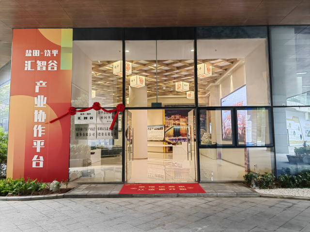 “盐田-饶平汇智谷”产业协作平台