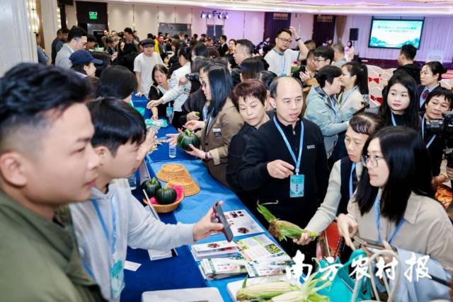 2025年“桂字号”蔬菜秋冬季产销对接(广州)活动产销对接现场。 2025年“桂字号”蔬菜秋冬季产销对接(广州)活动产销对接现场。