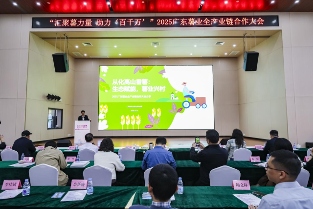 从化区在2025广东薯业全产业链合作大会作高山番薯专题推介。 从化区在2025广东薯业全产业链合作大会作高山番薯专题推介。