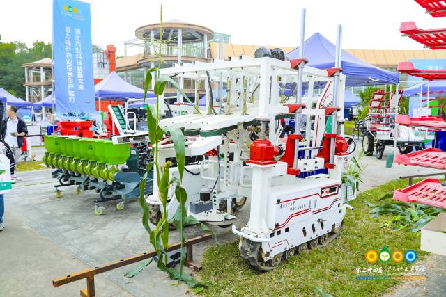 南方农村报 赵飘飘 拍摄