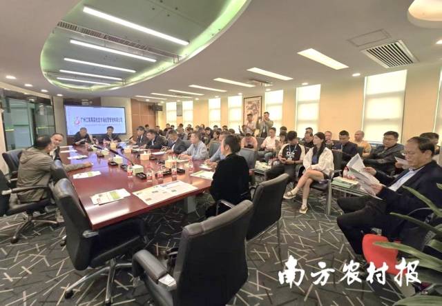 广州江南果蔬批发市场座谈。 广州江南果蔬批发市场座谈。