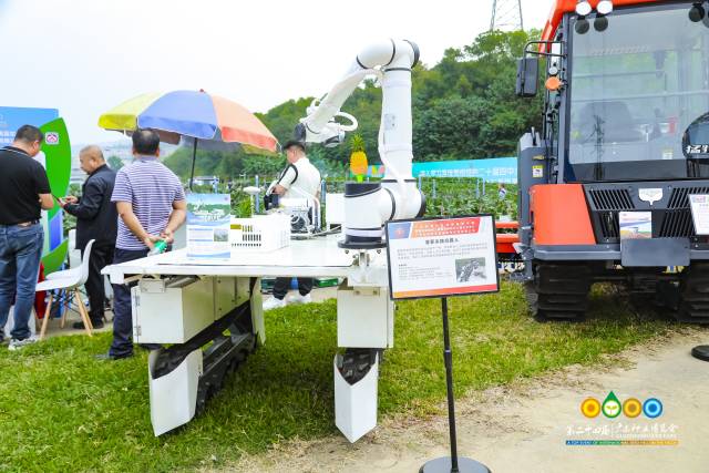 南方农村报 赵飘飘 拍摄