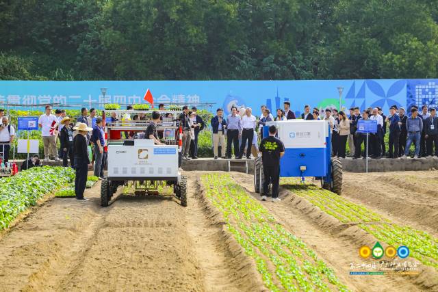 南方农村报 赵飘飘 拍摄
