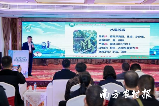 广西农业科学院蔬菜所副研究员吴星现场作优品推介。 广西农业科学院蔬菜所副研究员吴星现场作优品推介。