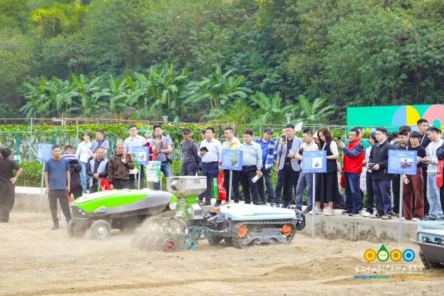 南方农村报 赵飘飘 拍摄