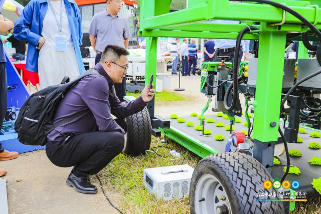 南方农村报 赵飘飘 拍摄