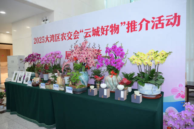 现场设置了云城花卉展示区。