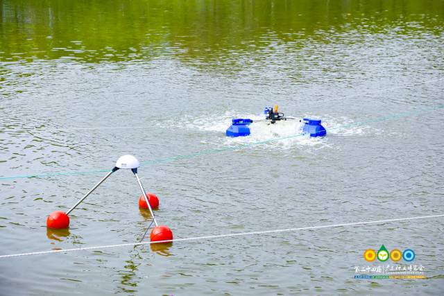 南方农村报 赵飘飘 拍摄