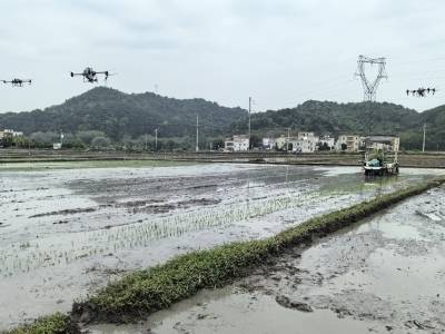 肇庆新农人奏响农业活力“新乐章”