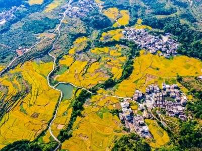 农业更强 农村更美 农民更富｜肇庆·振兴