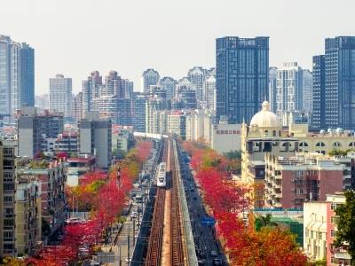 在生态宜居这件事上，珠海为什么固守“执念”？｜珠海“十四五”⑤