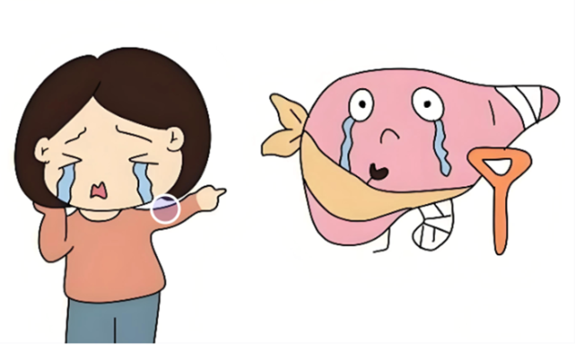 肝脏的无声警报,药剂师教您看懂药物说明书的“肝语”