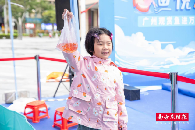 近百种观赏鱼亮相荔湾,社区水族嘉年华人气爆棚