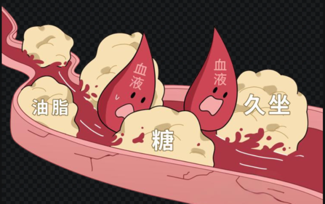 “心”事重重:心血管的“高速公路”养护手册