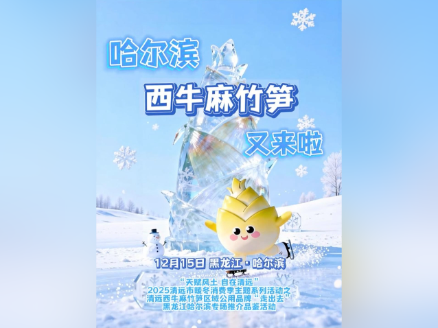 视频｜冰雪哈尔滨，清远西牛麻竹笋又来啦！