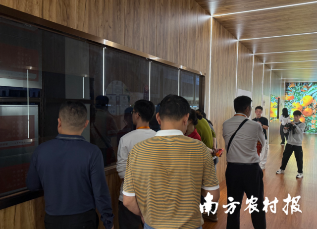 “新会陈皮溯源产地行”走进泓达堂陈皮产业小镇。 “新会陈皮溯源产地行”走进泓达堂陈皮产业小镇。