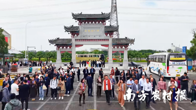 “新会陈皮溯源产地行”走进陈皮村三产融合园。 “新会陈皮溯源产地行”走进陈皮村三产融合园。