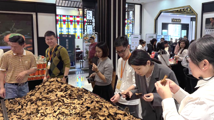 “一两陈皮一两金”的底气何在？这场沉浸式溯源有答案！