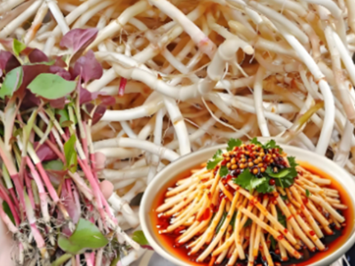 鱼腥草：“抗癌神器”还是“致病元凶”？