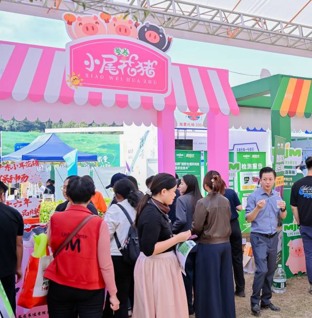 十大最受欢迎品牌——小尾花猪 十大最受欢迎品牌——小尾花猪