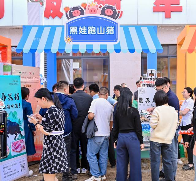 十大最受欢迎品牌——黑娃跑山猪 十大最受欢迎品牌——黑娃跑山猪