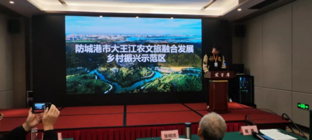 防城港市大王江农文旅融合发展乡村振兴示范区推介。