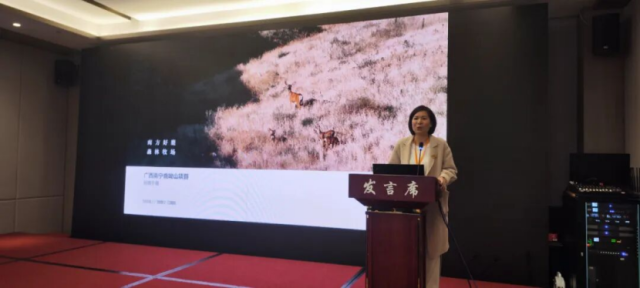 广西良凤江鹿呦山有限责任公司推介。