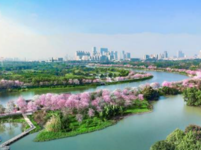 广州多区城市更新加速，房票模式撬动城中村改造新局｜广州城更记