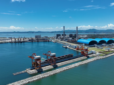 茂名口岸进口煤炭通关智能化，每批货物少等8小时，企业省了89万！