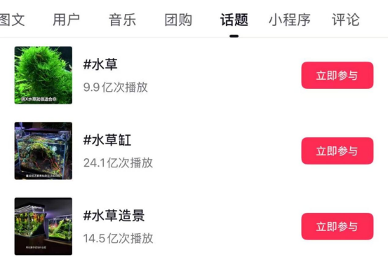 从配角到灵魂:一株水草见证广州水族产业崛起