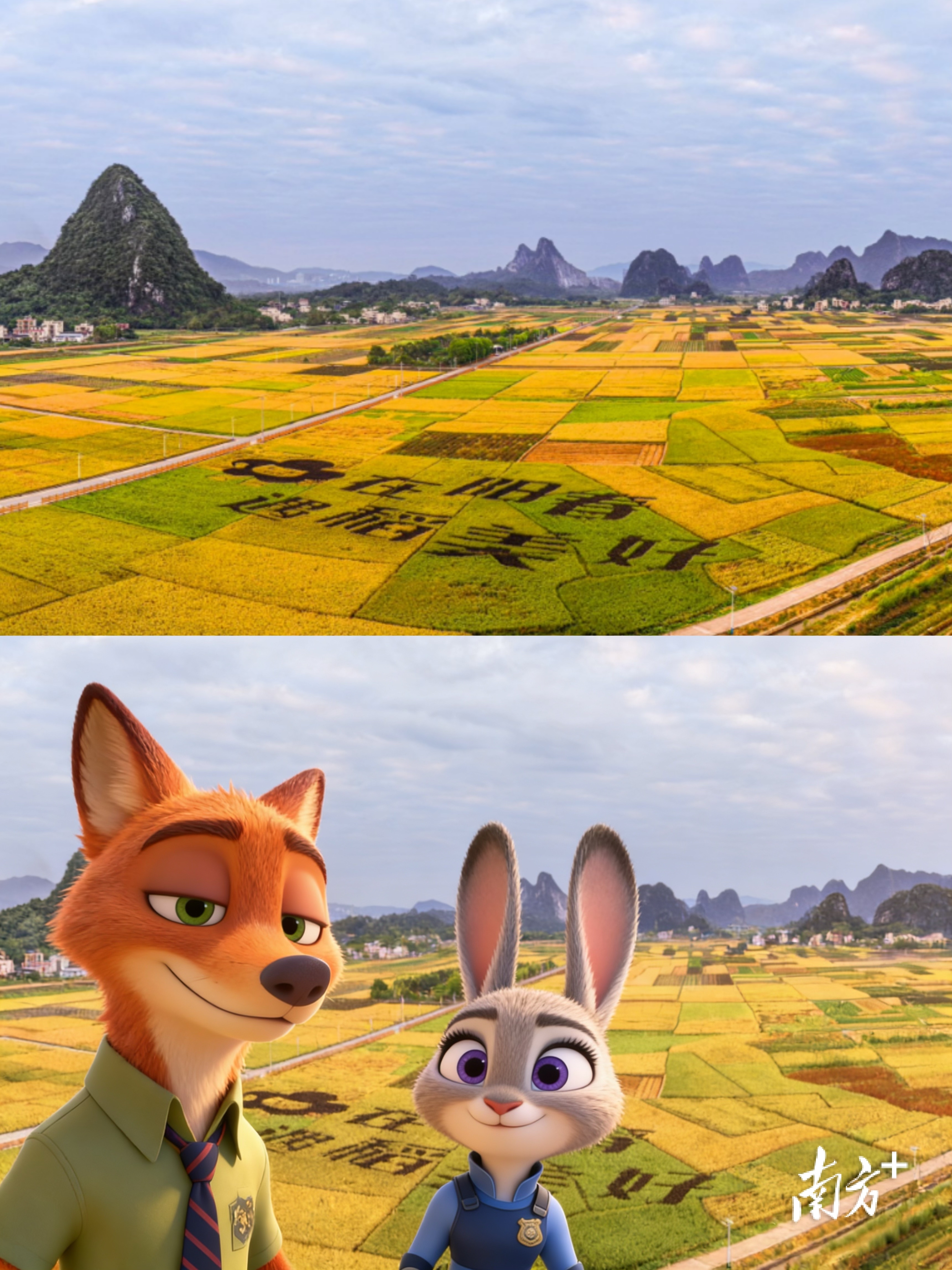 阳春马兰风光。 阳春马兰风光。