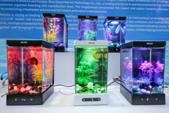 南沙正致力打造观赏鱼进出口产业集聚区 南沙正致力打造观赏鱼进出口产业集聚区