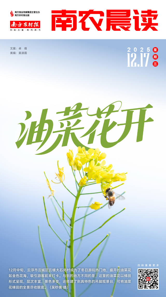 南方农村报 杨娉婧 制图