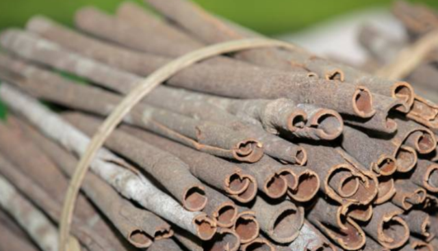 云浮罗定肉桂。