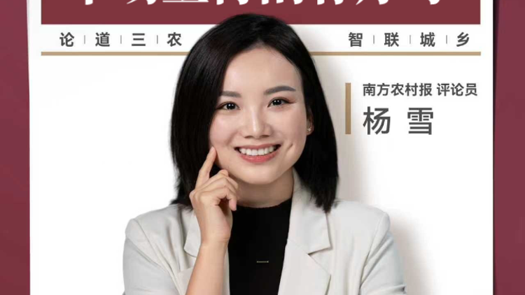 兴农评丨假陈皮冲击产业，市场亟待刮骨疗毒