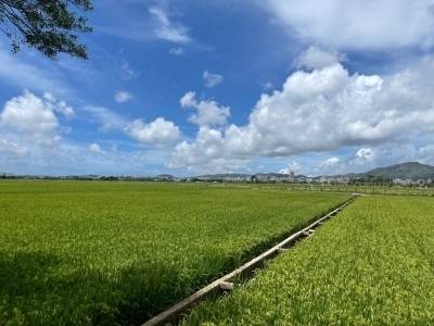 严守耕地保护红线！番禺加速违法用地整改落实