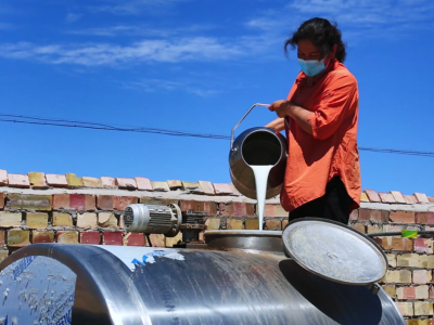 疏附奶制品：高原牧场滋养的ISTP｜疆品性格图鉴