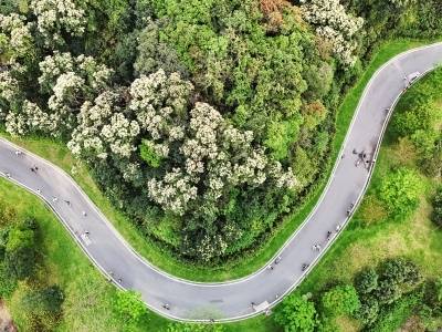 点赞！广东首批9个全域土地综合整治典型项目出炉