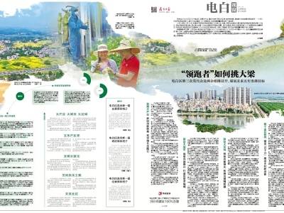 “领跑者”如何挑大梁｜速览《南方日报·电白视窗》第246期