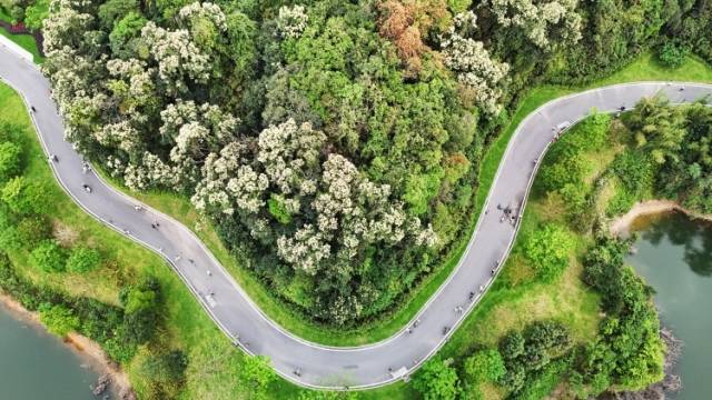 点赞！广东首批9个全域土地综合整治典型项目出炉