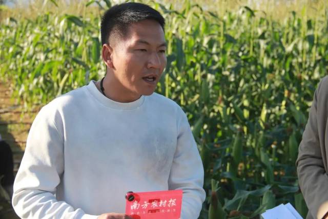 博罗县惠祥种苗专业合作社老板、乡土专家周杨 博罗县惠祥种苗专业合作社老板、乡土专家周杨