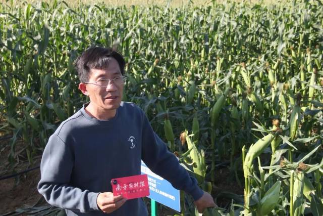 广东农业科学院作物研究所玉米研究室主任、研究员 李高科 广东农业科学院作物研究所玉米研究室主任、研究员 李高科