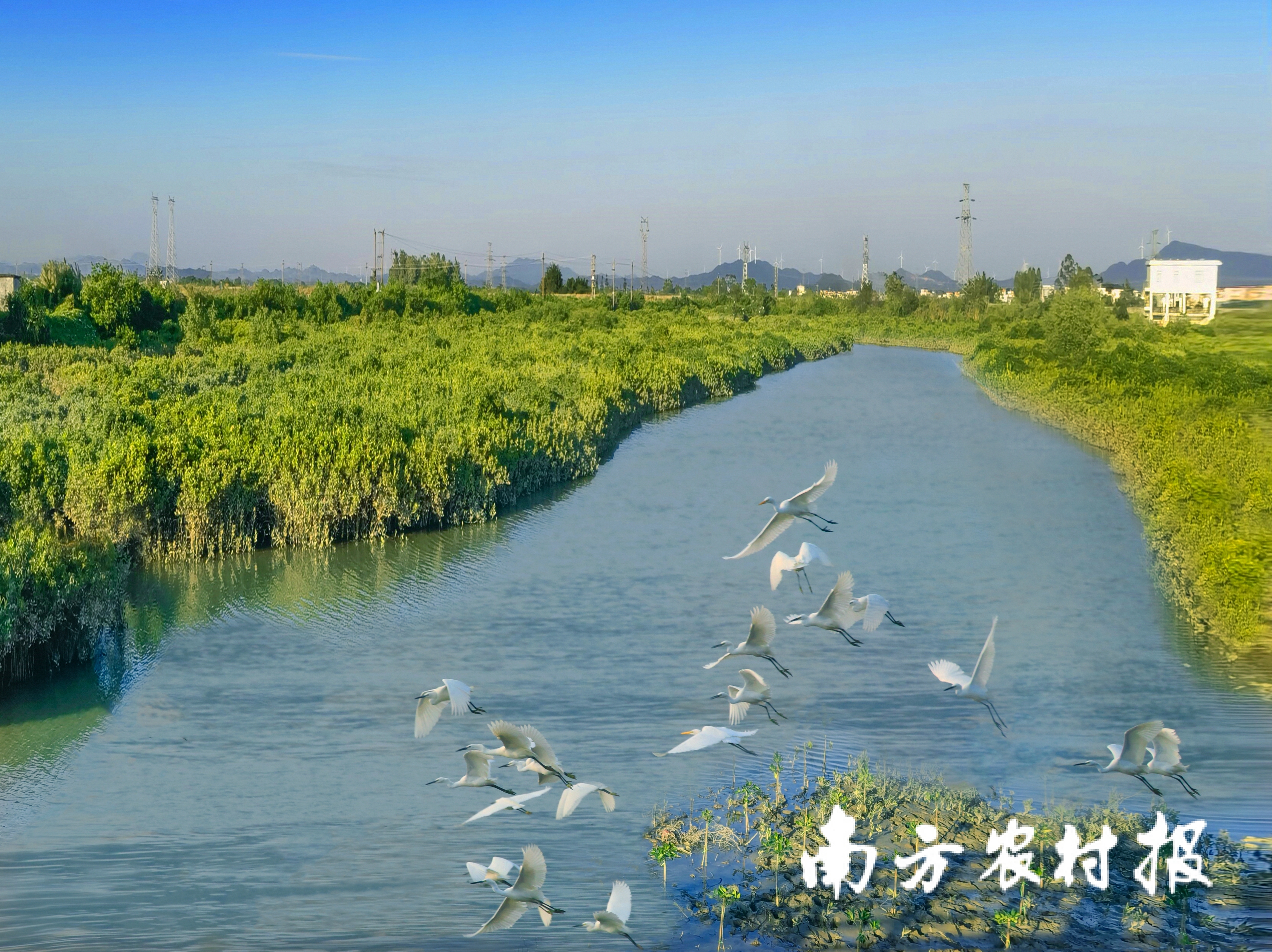 广东阳东寿长河红树林国家湿地公园