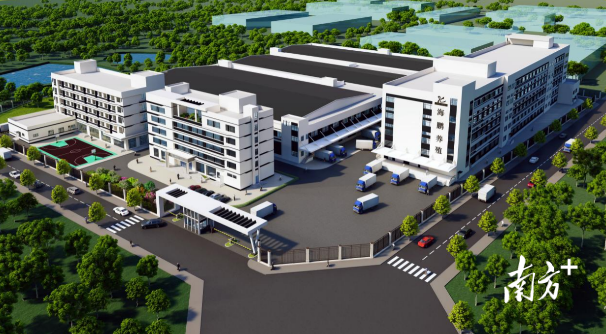 海鹏公司屠宰加工及预制菜基地规划图。 明城供图 海鹏公司屠宰加工及预制菜基地规划图。 明城供图