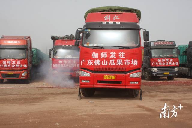 每年盛夏，一车车新疆瓜果加速南下广东，开拓大湾区市场。