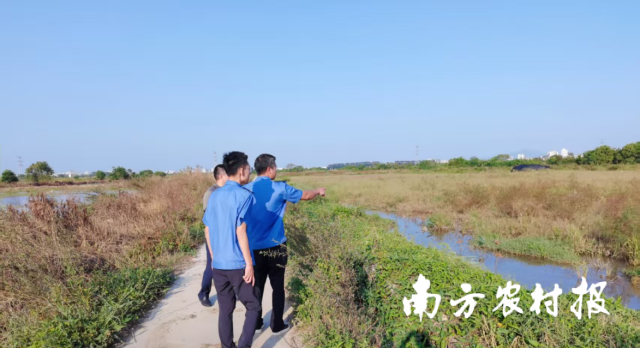 汕头市龙湖区鸟网拆除 汕头市龙湖区鸟网拆除