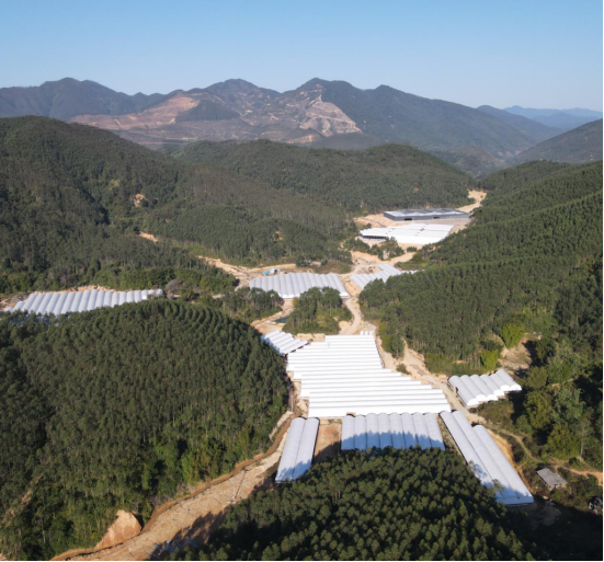 广东地昇生态农业科技有限公司。